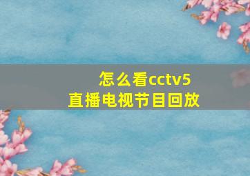 怎么看cctv5直播电视节目回放