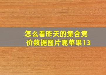 怎么看昨天的集合竞价数据图片呢苹果13