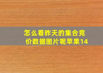 怎么看昨天的集合竞价数据图片呢苹果14