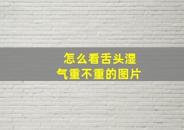 怎么看舌头湿气重不重的图片