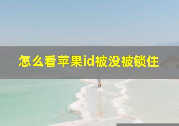 怎么看苹果id被没被锁住