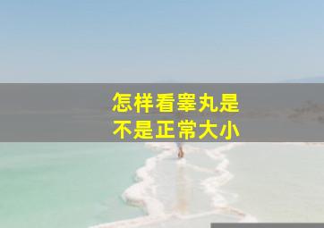 怎样看睾丸是不是正常大小