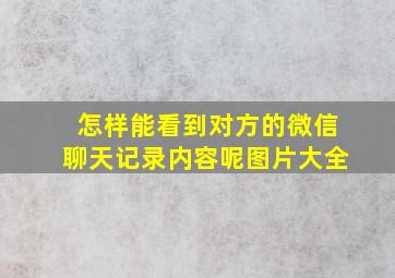 怎样能看到对方的微信聊天记录内容呢图片大全