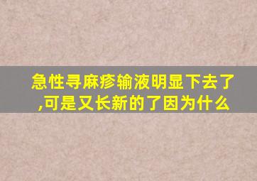 急性寻麻疹输液明显下去了,可是又长新的了因为什么