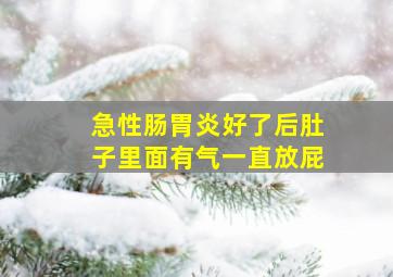 急性肠胃炎好了后肚子里面有气一直放屁