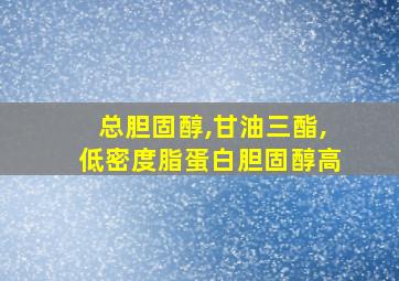 总胆固醇,甘油三酯,低密度脂蛋白胆固醇高