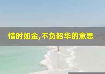 惜时如金,不负韶华的意思