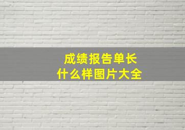 成绩报告单长什么样图片大全