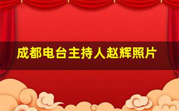 成都电台主持人赵辉照片