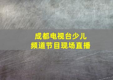 成都电视台少儿频道节目现场直播