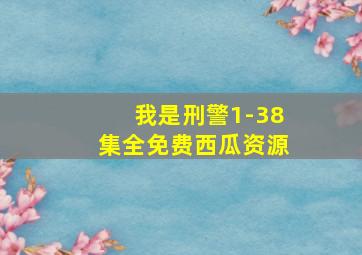 我是刑警1-38集全免费西瓜资源