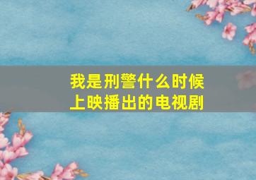 我是刑警什么时候上映播出的电视剧