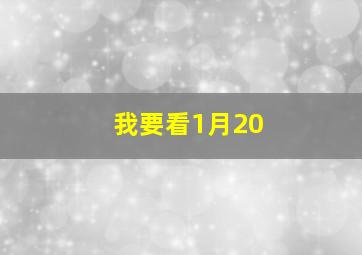 我要看1月20