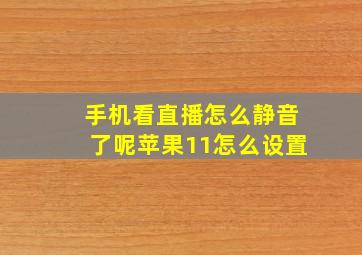 手机看直播怎么静音了呢苹果11怎么设置