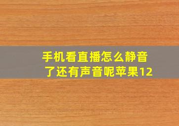 手机看直播怎么静音了还有声音呢苹果12