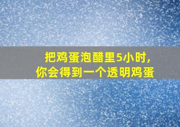 把鸡蛋泡醋里5小时,你会得到一个透明鸡蛋