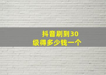 抖音刷到30级得多少钱一个