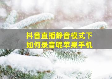 抖音直播静音模式下如何录音呢苹果手机