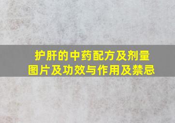 护肝的中药配方及剂量图片及功效与作用及禁忌