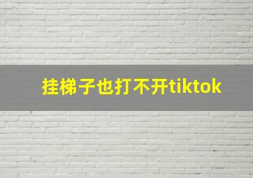 挂梯子也打不开tiktok