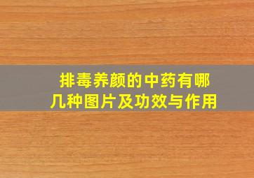 排毒养颜的中药有哪几种图片及功效与作用