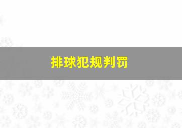 排球犯规判罚