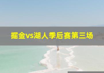 掘金vs湖人季后赛第三场