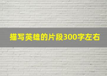 描写英雄的片段300字左右