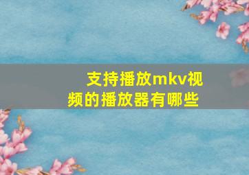 支持播放mkv视频的播放器有哪些