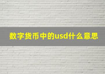 数字货币中的usd什么意思