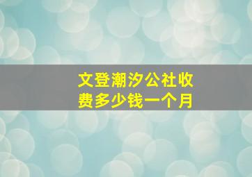 文登潮汐公社收费多少钱一个月