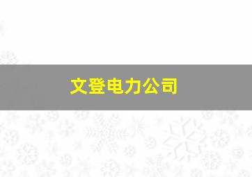 文登电力公司