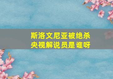 斯洛文尼亚被绝杀央视解说员是谁呀