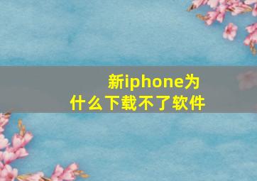 新iphone为什么下载不了软件