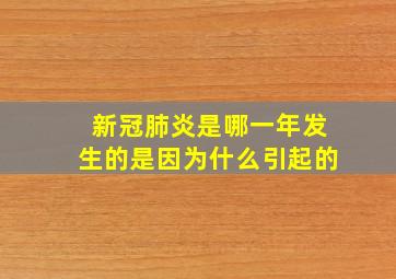 新冠肺炎是哪一年发生的是因为什么引起的