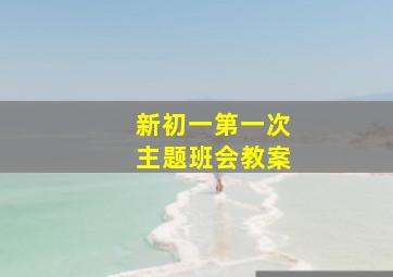 新初一第一次主题班会教案