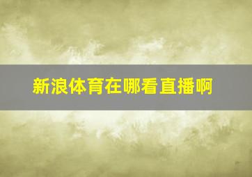 新浪体育在哪看直播啊