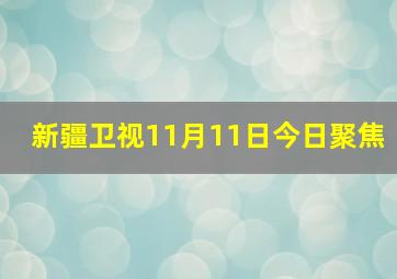 新疆卫视11月11日今日聚焦