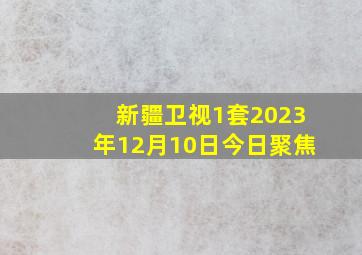 新疆卫视1套2023年12月10日今日聚焦