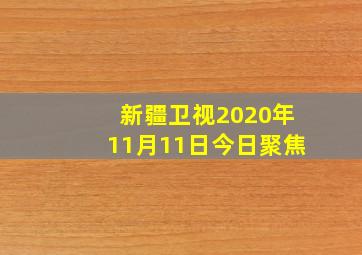 新疆卫视2020年11月11日今日聚焦