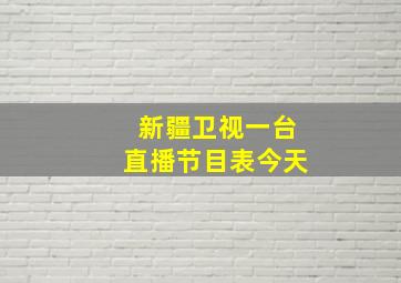 新疆卫视一台直播节目表今天