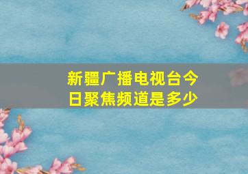 新疆广播电视台今日聚焦频道是多少