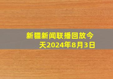 新疆新闻联播回放今天2024年8月3日