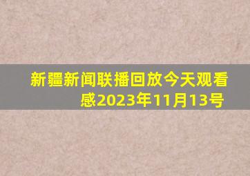 新疆新闻联播回放今天观看感2023年11月13号