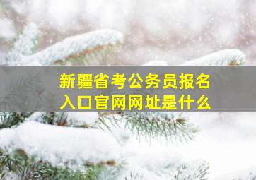 新疆省考公务员报名入口官网网址是什么