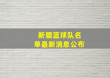 新疆篮球队名单最新消息公布