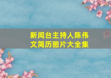 新闻台主持人陈伟文简历图片大全集