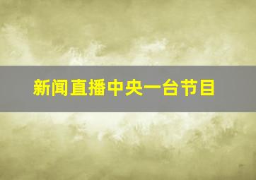 新闻直播中央一台节目