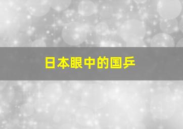 日本眼中的国乒