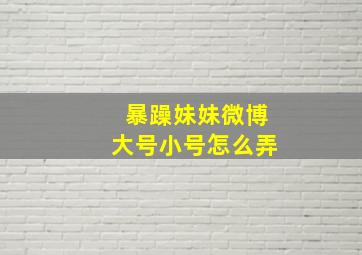 暴躁妹妹微博大号小号怎么弄